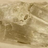 Ulexite