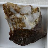 Ganophyllite