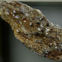 Anatase & Pyrite