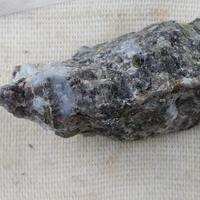 Vishnevite