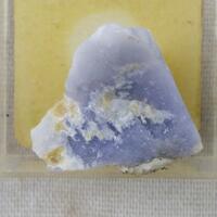 Prosopite