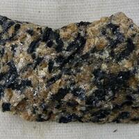 Hastingsite