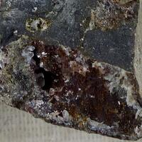 Ecdemite