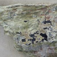 Carpholite