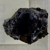 Elyite