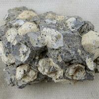 Leucite