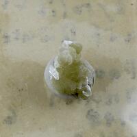 Gyrolite On Quartz