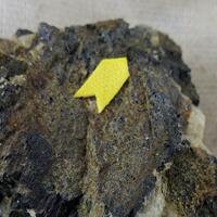 Chevkinite-(Ce)