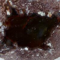 Agate