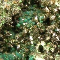 Libethenite & Pseudomalachite