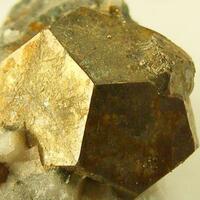 Pyrite On Quartz