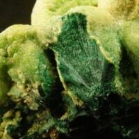 Pyromorphite On Malachite