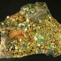 Torbernite