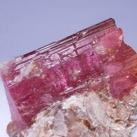 Rubellite