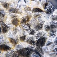 Wavellite