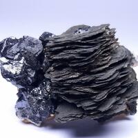 Pyrrhotite & Galena
