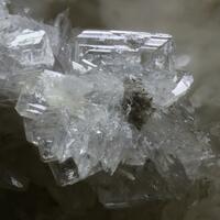 Tunisite