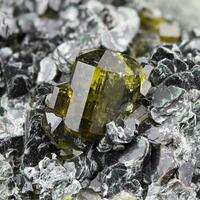 Vesuvianite & Clinochlore