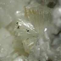 Lithiomarsturite