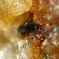 Allanite-(La)