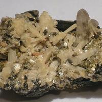 Bertrandite