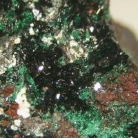 Paratacamite