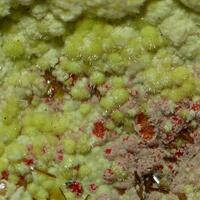 Calcurmolite & Umohoite
