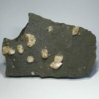 Calcite On Schalenblende