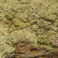 Metarauchite