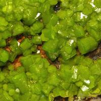 Pyromorphite