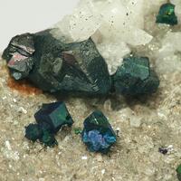 Bornite