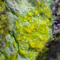 Guilleminite