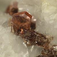 Bastnäsite-(Ce) & Dissakisite-(Ce)