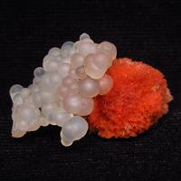 Chalcedony On Scolecite