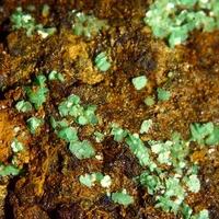 Torbernite