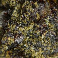 Arsenocrandallite Pharmacosiderite & Yukonite