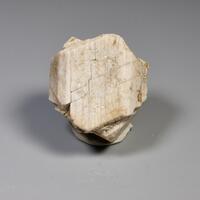 Orthoclase