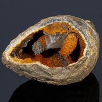 Fossil Brachiopod Calcite & Goethite