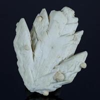 Calcite Psm Gypsum