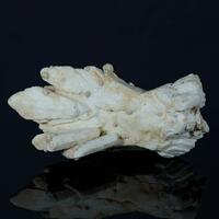 Calcite Psm Gypsum