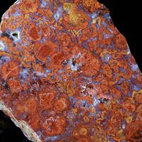 Agate & Stromatolite