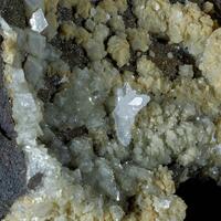 Whewellite On Ankerite