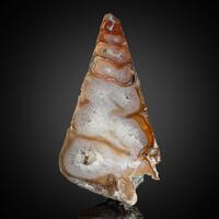 Agate & Fossil