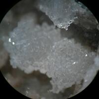 Gmelinite & Natrolite