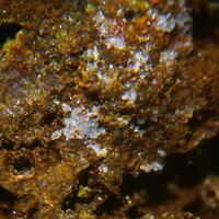 Phosphohedyphane Wulfenite & Hedyphane