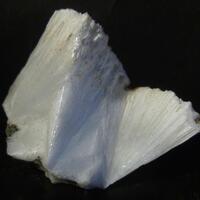 Scolecite