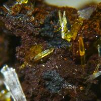 Wulfenite & Hemimorphite