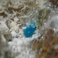 Cavansite & Chabazite