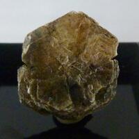 Polylithionite