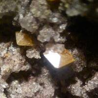 Wulfenite